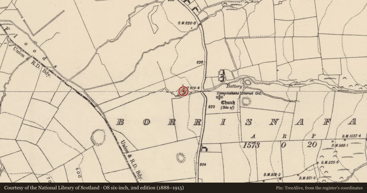 Ordnance Survey six-inch map, 2nd edition (1888–1915) covering the location of Ringfort - rath, Borrisnafarney, County Tipperary North, with a pin at the register's coordinates