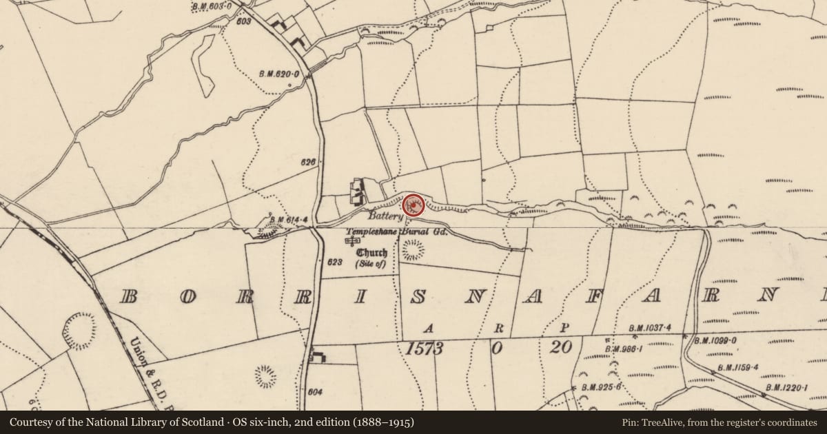 Ordnance Survey six-inch map, 2nd edition (1888–1915) covering the location of Castle - ringwork, Borrisnafarney, County Tipperary North, with a pin at the register's coordinates