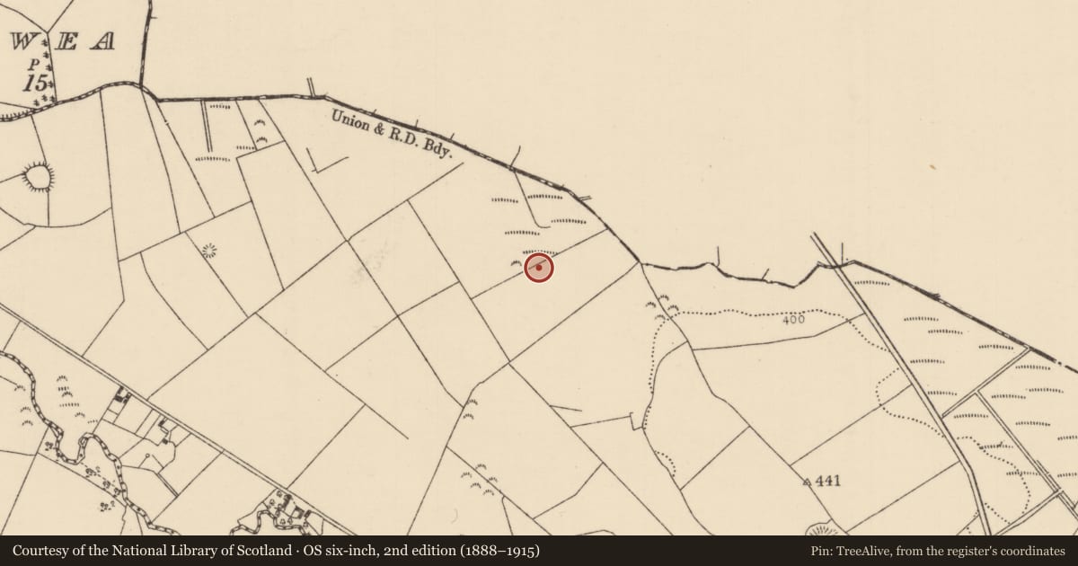 Ordnance Survey six-inch map, 2nd edition (1888–1915) covering the location of Burnt mound, Park (Aghnameadle Par.), County Tipperary North, with a pin at the register's coordinates