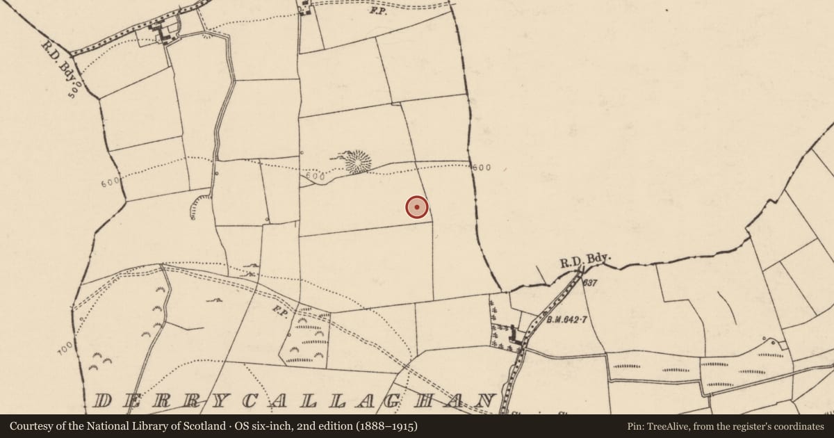 Ordnance Survey six-inch map, 2nd edition (1888–1915) covering the location of Ringfort - unclassified, Derrycallaghan, County Tipperary North, with a pin at the register's coordinates
