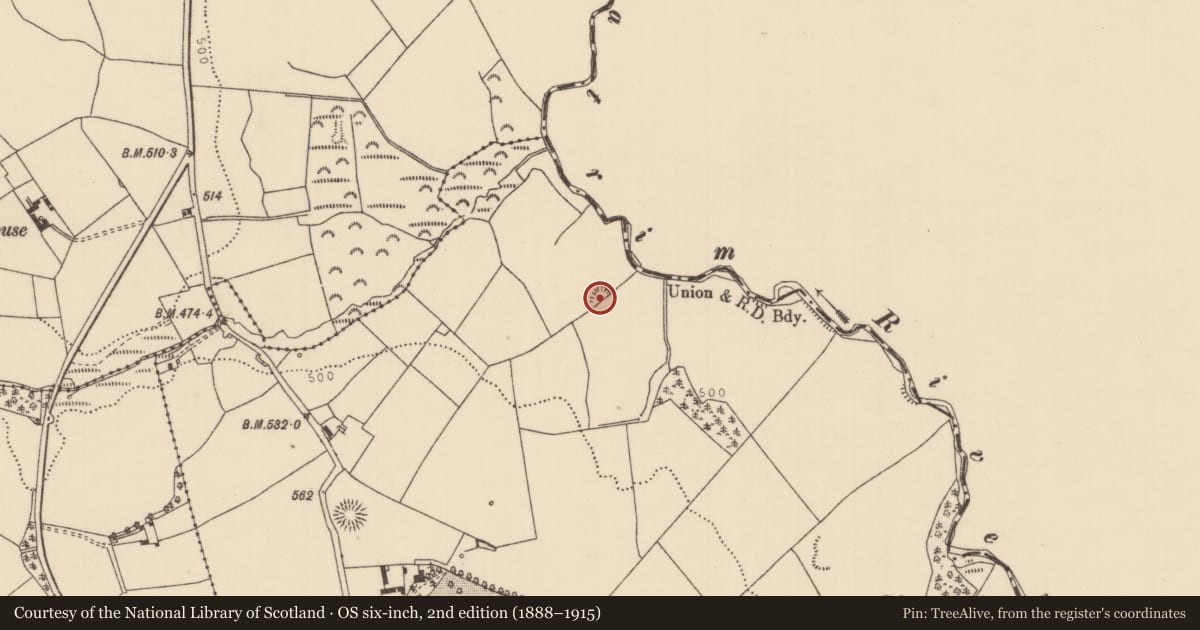 Ordnance Survey six-inch map, 2nd edition (1888–1915) covering the location of Megalithic structure, Aghnameadle, County Tipperary North, with a pin at the register's coordinates