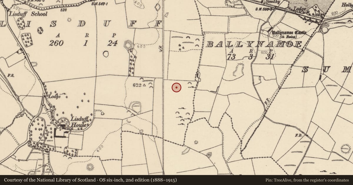 Ordnance Survey six-inch map, 2nd edition (1888–1915) covering the location of Moated site, Lisduff (Rathnaveoge Par.), County Tipperary North, with a pin at the register's coordinates