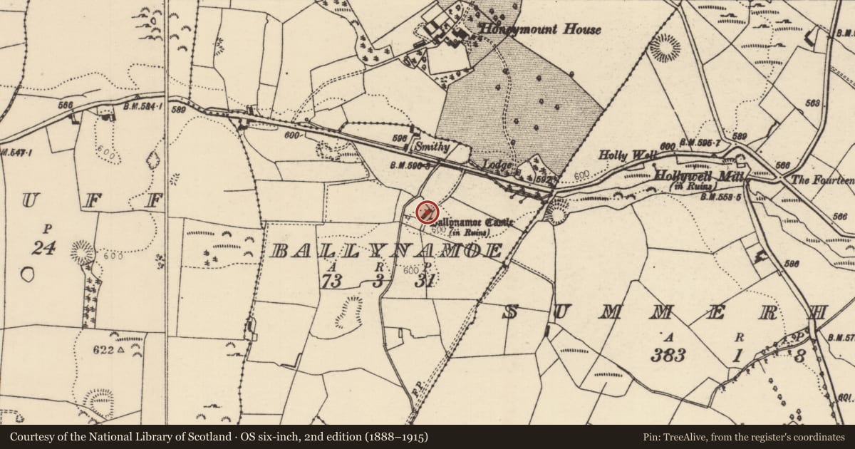 Ordnance Survey six-inch map, 2nd edition (1888–1915) covering the location of House - indeterminate date, Ballynamoe, County Tipperary North, with a pin at the register's coordinates