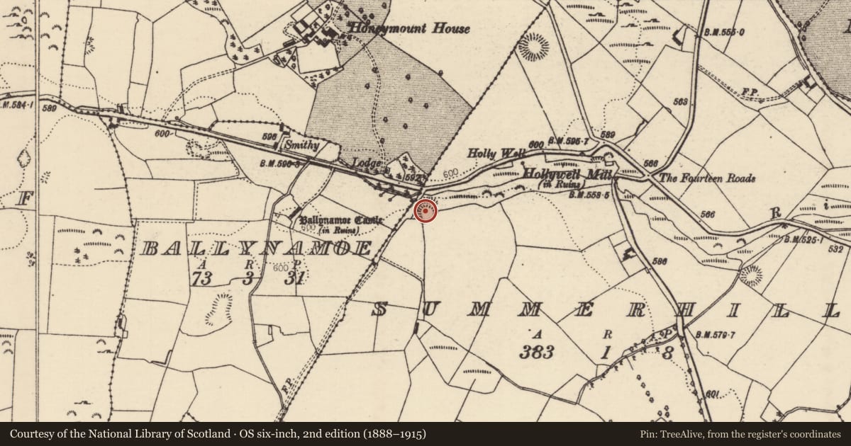 Ordnance Survey six-inch map, 2nd edition (1888–1915) covering the location of Cliff-edge fort, Summerhill (Rathnaveoge Par.), County Tipperary North, with a pin at the register's coordinates