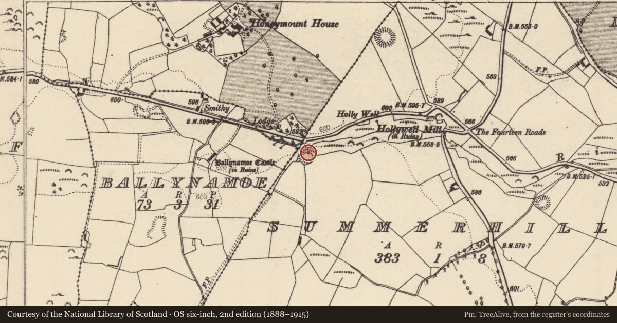Ordnance Survey six-inch map, 2nd edition (1888–1915) covering the location of Enclosure, Summerhill (Rathnaveoge Par.), County Tipperary North, with a pin at the register's coordinates