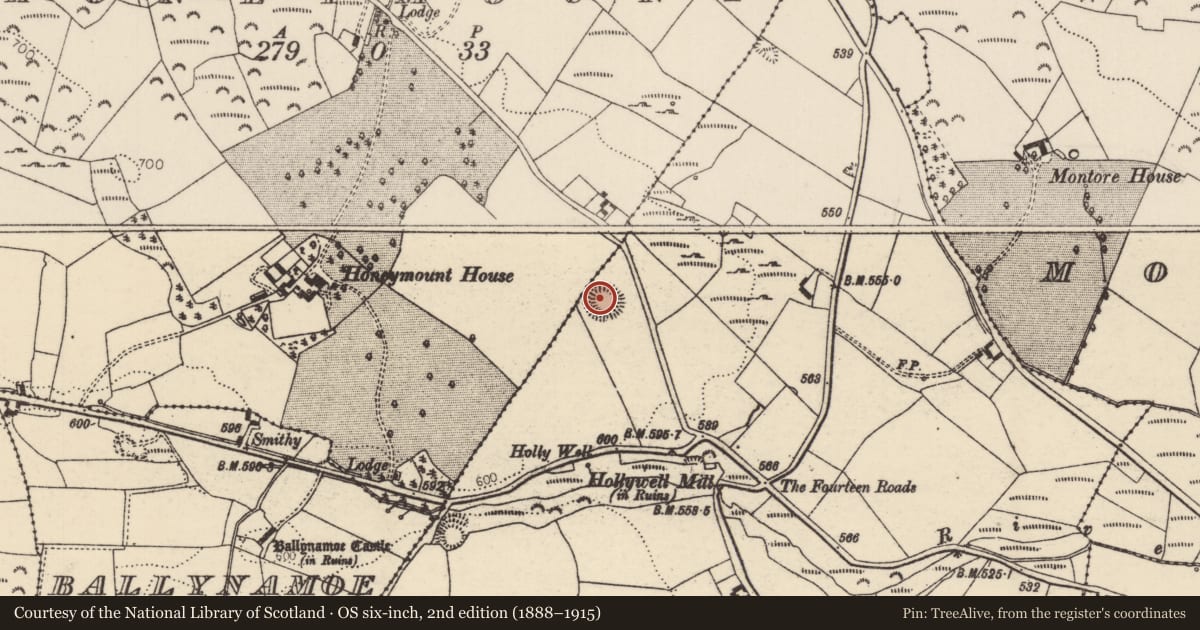 Ordnance Survey six-inch map, 2nd edition (1888–1915) covering the location of Ringfort - unclassified, Summerhill (Rathnaveoge Par.), County Tipperary North, with a pin at the register's coordinates