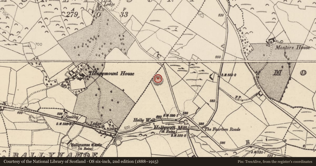Ordnance Survey six-inch map, 2nd edition (1888–1915) covering the location of Bullaun stone, Summerhill (Rathnaveoge Par.), County Tipperary North, with a pin at the register's coordinates