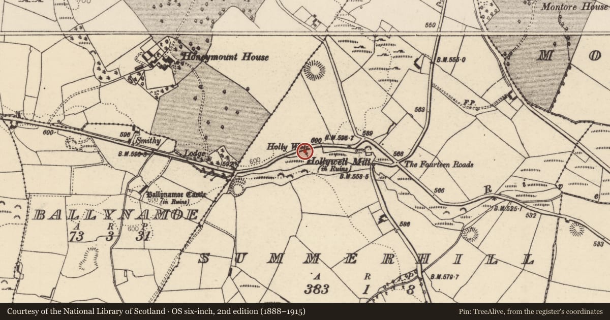 Ordnance Survey six-inch map, 2nd edition (1888–1915) covering the location of Ritual site - holy well, Summerhill (Rathnaveoge Par.), County Tipperary North, with a pin at the register's coordinates
