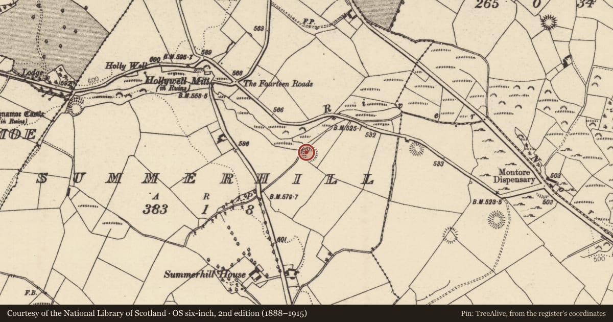 Ordnance Survey six-inch map, 2nd edition (1888–1915) covering the location of Ringfort - rath, Summerhill (Rathnaveoge Par.), County Tipperary North, with a pin at the register's coordinates