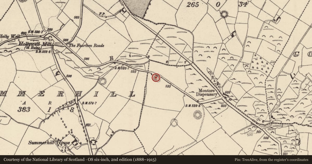 Ordnance Survey six-inch map, 2nd edition (1888–1915) covering the location of Enclosure, Longford Wood, County Tipperary North, with a pin at the register's coordinates