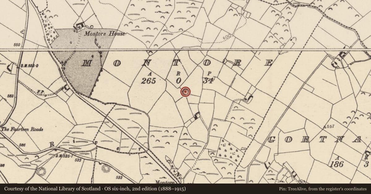 Ordnance Survey six-inch map, 2nd edition (1888–1915) covering the location of Ringfort - rath, Montore, County Tipperary North, with a pin at the register's coordinates