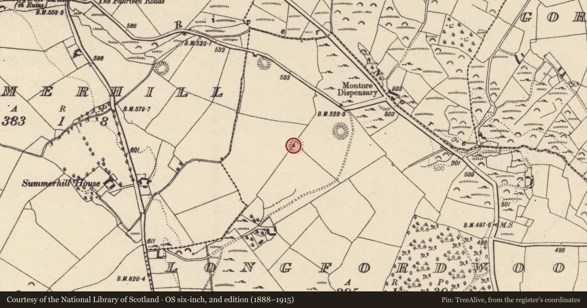 Ordnance Survey six-inch map, 2nd edition (1888–1915) covering the location of Ringfort - rath, Longford Wood, County Tipperary North, with a pin at the register's coordinates