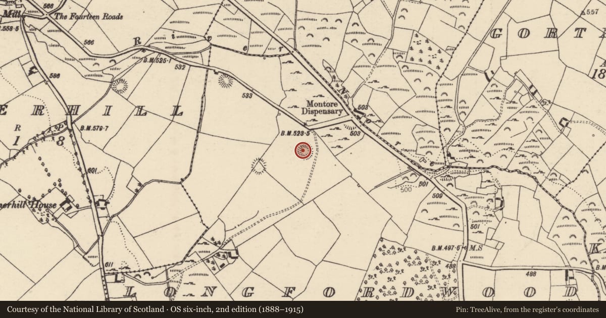 Ordnance Survey six-inch map, 2nd edition (1888–1915) covering the location of Ringfort - rath, Longford Wood, County Tipperary North, with a pin at the register's coordinates