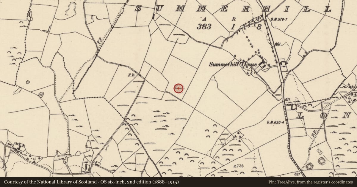 Ordnance Survey six-inch map, 2nd edition (1888–1915) covering the location of Ringfort - rath, Summerhill (Rathnaveoge Par.), County Tipperary North, with a pin at the register's coordinates