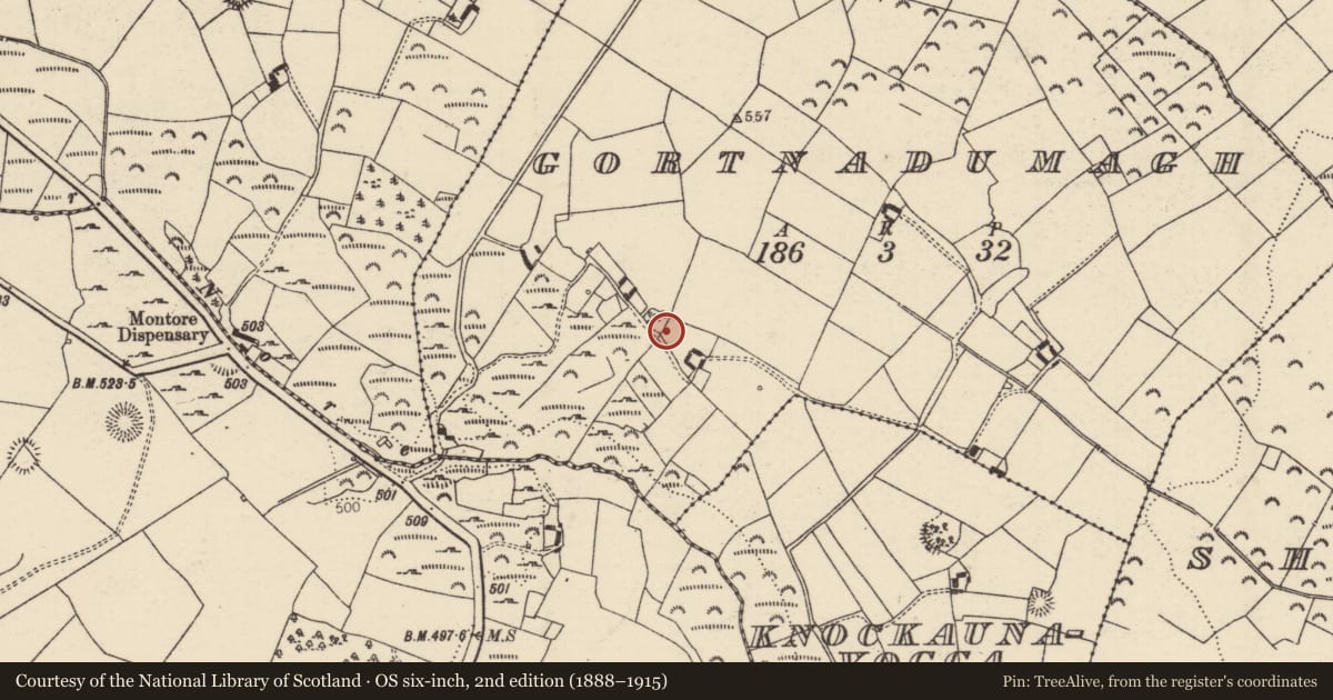 Ordnance Survey six-inch map, 2nd edition (1888–1915) covering the location of Moated site, Gortnadumagh, County Tipperary North, with a pin at the register's coordinates