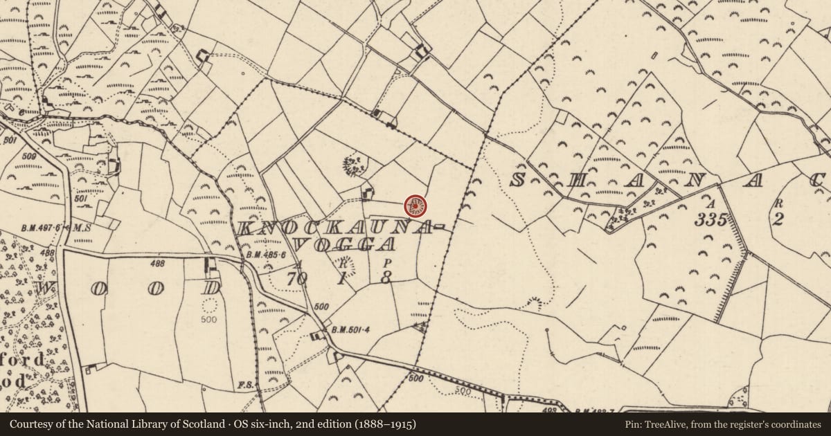 Ordnance Survey six-inch map, 2nd edition (1888–1915) covering the location of Enclosure, Knockaunavogga, County Tipperary North, with a pin at the register's coordinates