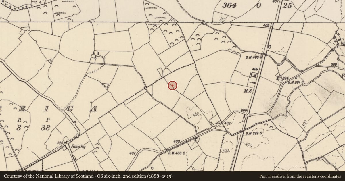 Ordnance Survey six-inch map, 2nd edition (1888–1915) covering the location of Ringfort - rath, Kyleannagh, County Tipperary North, with a pin at the register's coordinates