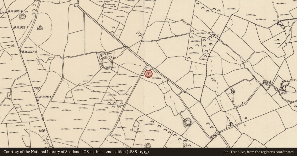 Ordnance Survey six-inch map, 2nd edition (1888–1915) covering the location of Ringfort - rath, Crumlin Little, County Tipperary North, with a pin at the register's coordinates