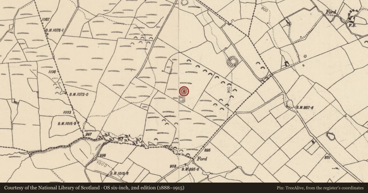 Ordnance Survey six-inch map, 2nd edition (1888–1915) covering the location of Ringfort - rath, Crumlin Little, County Tipperary North, with a pin at the register's coordinates