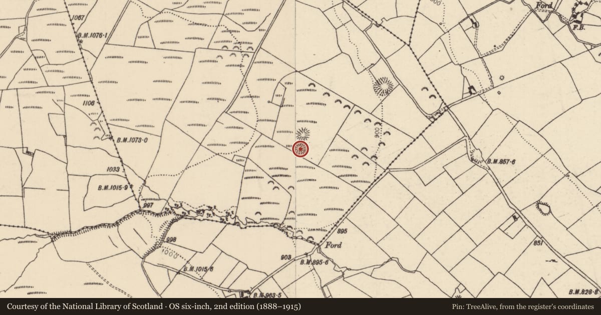 Ordnance Survey six-inch map, 2nd edition (1888–1915) covering the location of Ringfort - rath, Crumlin Little, County Tipperary North, with a pin at the register's coordinates