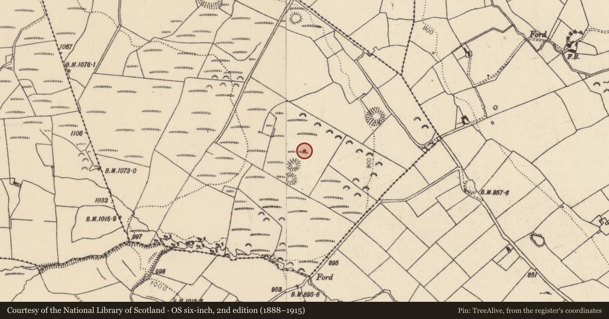 Ordnance Survey six-inch map, 2nd edition (1888–1915) covering the location of Standing stone, Crumlin Little, County Tipperary North, with a pin at the register's coordinates