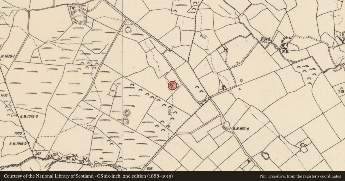 Ordnance Survey six-inch map, 2nd edition (1888–1915) covering the location of Ringfort - rath, Crumlin Little, County Tipperary North, with a pin at the register's coordinates