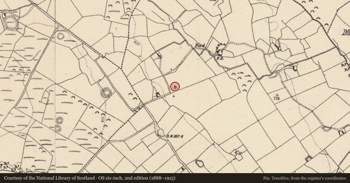 Ordnance Survey six-inch map, 2nd edition (1888–1915) covering the location of Barrow - mound barrow, Borrisnoe, County Tipperary North, with a pin at the register's coordinates