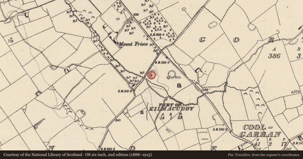Ordnance Survey six-inch map, 2nd edition (1888–1915) covering the location of Ringfort - rath, Kilmacuddy (Bourney Par.), County Tipperary North, with a pin at the register's coordinates
