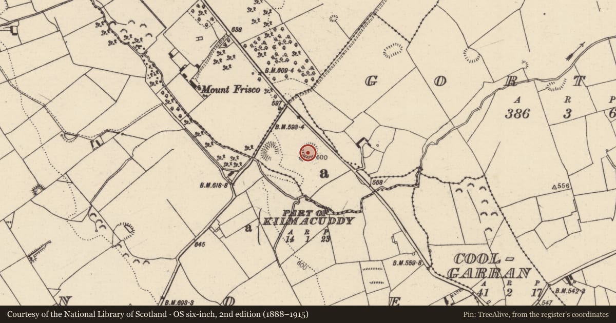 Ordnance Survey six-inch map, 2nd edition (1888–1915) covering the location of Ringfort - rath, Kilmacuddy (Bourney Par.), County Tipperary North, with a pin at the register's coordinates