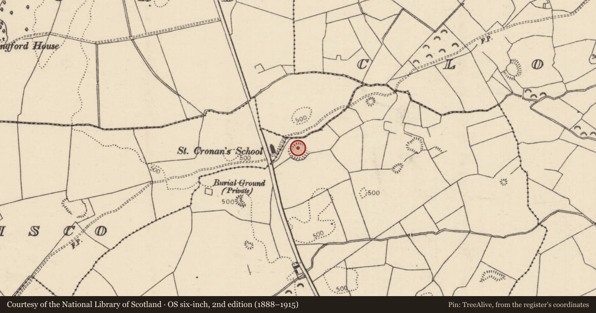 Ordnance Survey six-inch map, 2nd edition (1888–1915) covering the location of Enclosure, Gorteen (Bourney Par.), County Tipperary North, with a pin at the register's coordinates