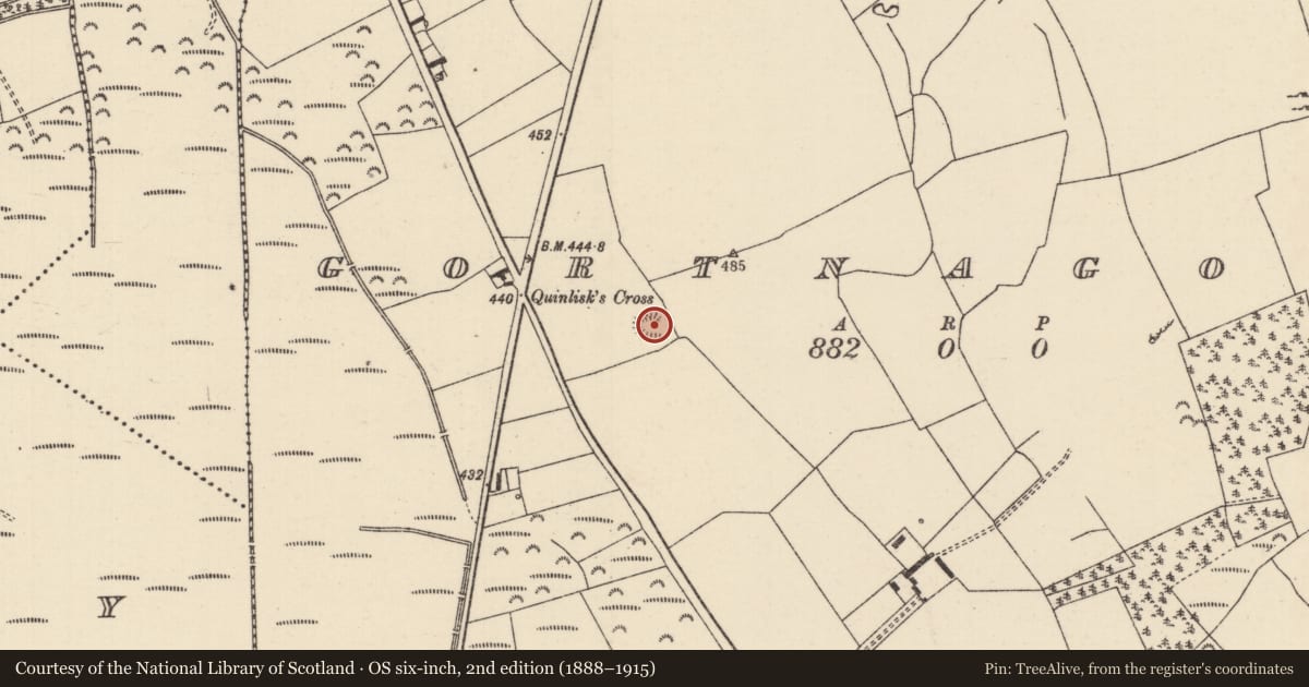 Ordnance Survey six-inch map, 2nd edition (1888–1915) covering the location of Ringfort - rath, Gortnagowna (Killavinoge Par.), County Tipperary North, with a pin at the register's coordinates