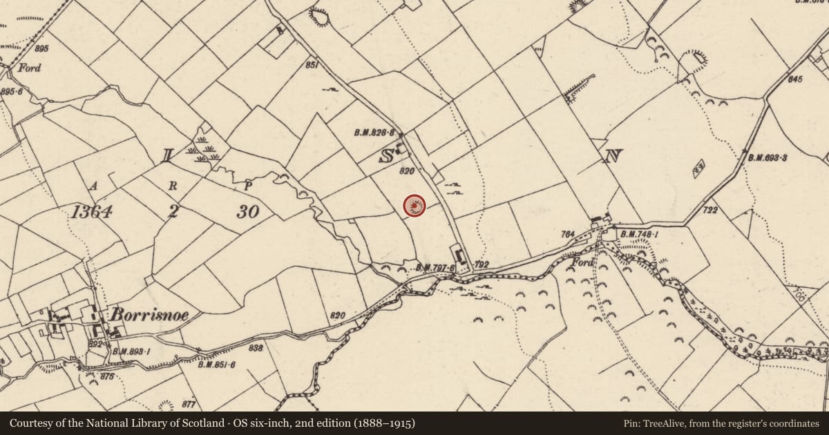 Ordnance Survey six-inch map, 2nd edition (1888–1915) covering the location of Barrow - mound barrow, Borrisnoe, County Tipperary North, with a pin at the register's coordinates