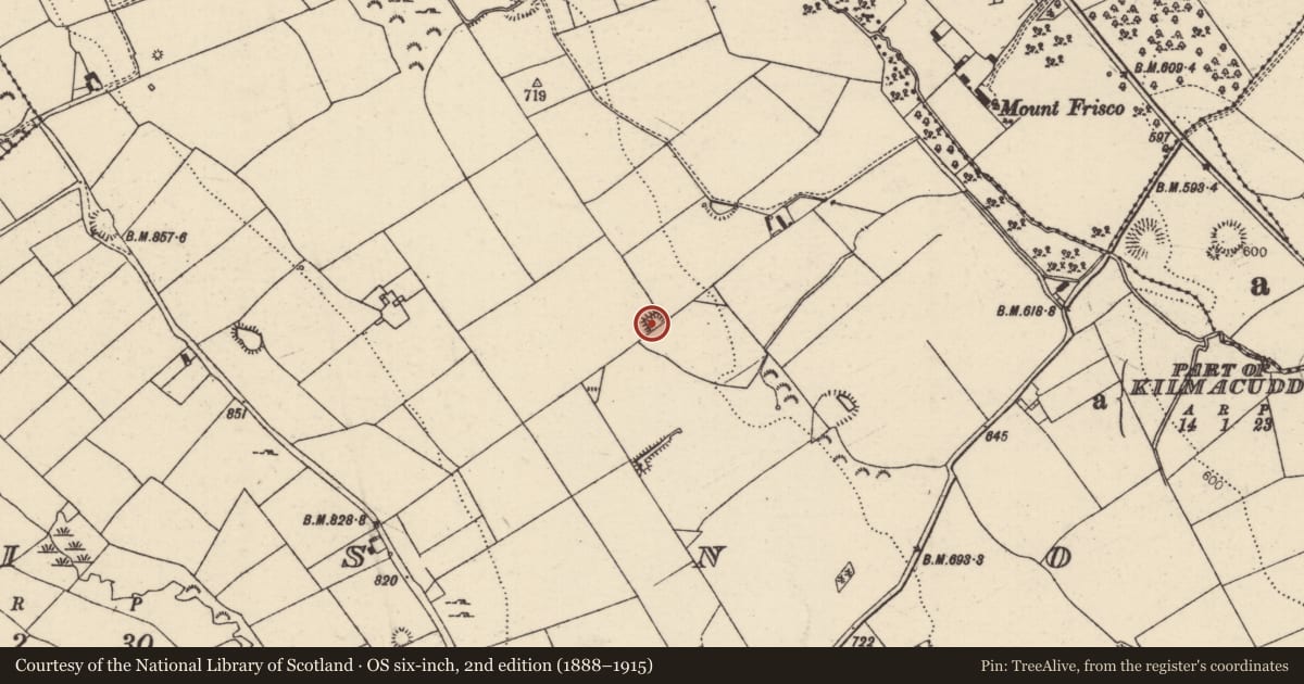 Ordnance Survey six-inch map, 2nd edition (1888–1915) covering the location of Moated site, Borrisnoe, County Tipperary North, with a pin at the register's coordinates