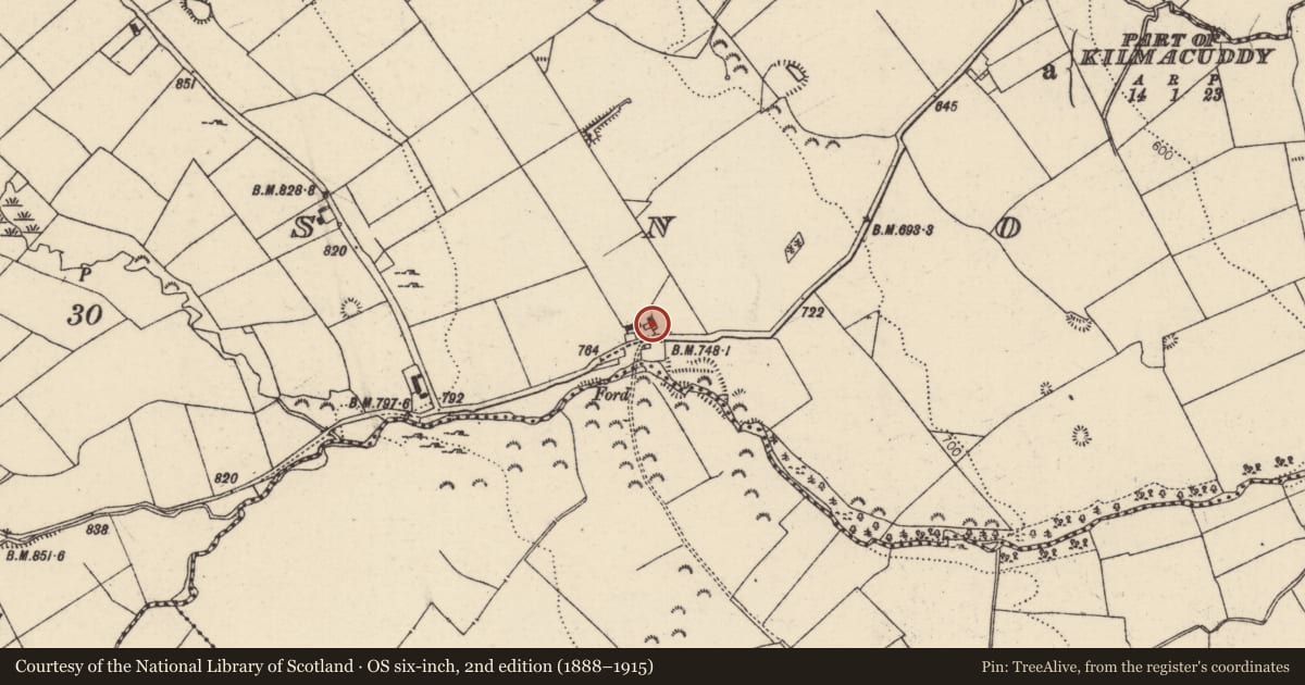 Ordnance Survey six-inch map, 2nd edition (1888–1915) covering the location of House - indeterminate date, Borrisnoe, County Tipperary North, with a pin at the register's coordinates