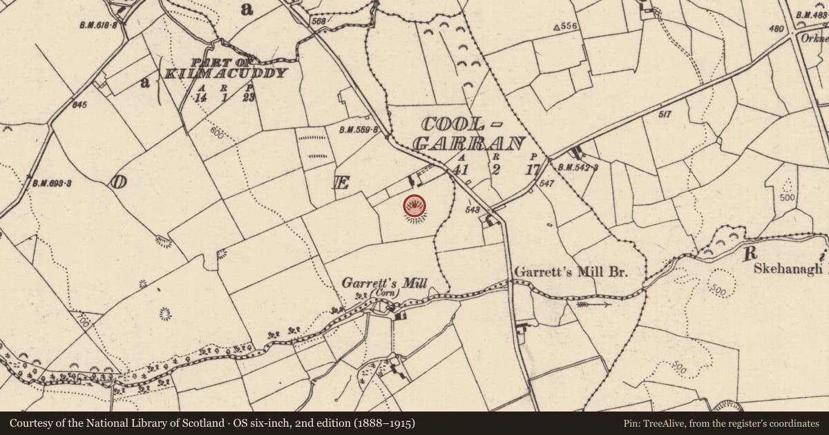 Ordnance Survey six-inch map, 2nd edition (1888–1915) covering the location of Ringfort - rath, Borrisnoe, County Tipperary North, with a pin at the register's coordinates