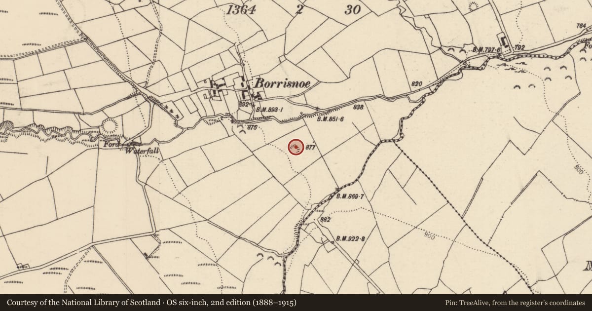 Ordnance Survey six-inch map, 2nd edition (1888–1915) covering the location of Enclosure, Borrisnoe, County Tipperary North, with a pin at the register's coordinates