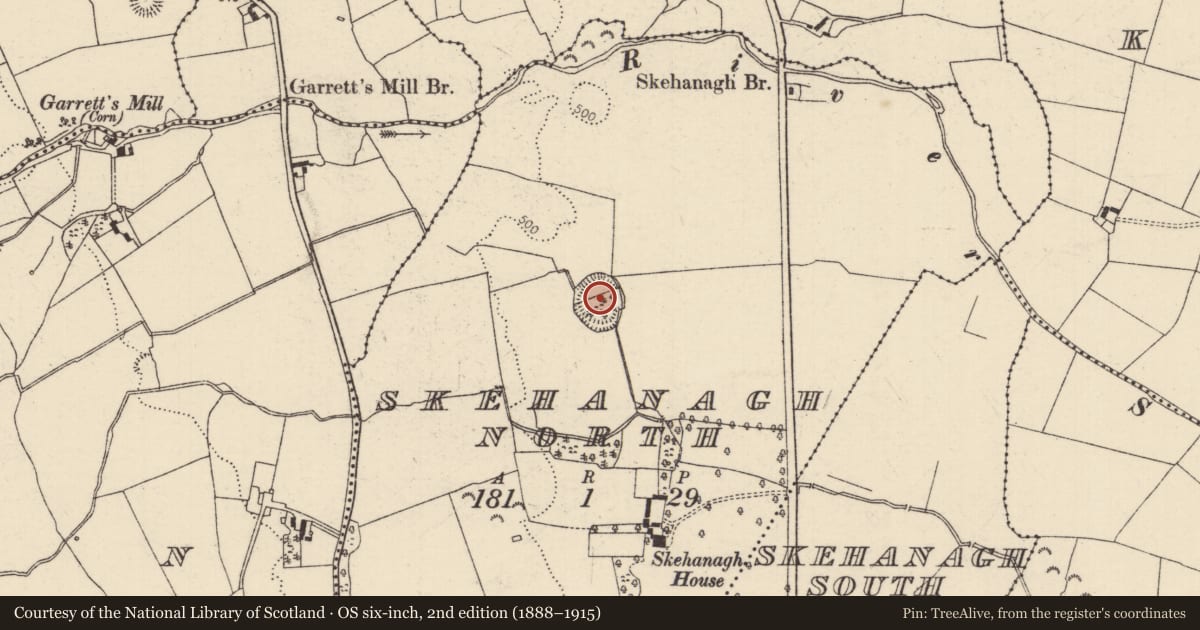 Ordnance Survey six-inch map, 2nd edition (1888–1915) covering the location of Ringfort - rath, Skehanagh North, County Tipperary North, with a pin at the register's coordinates