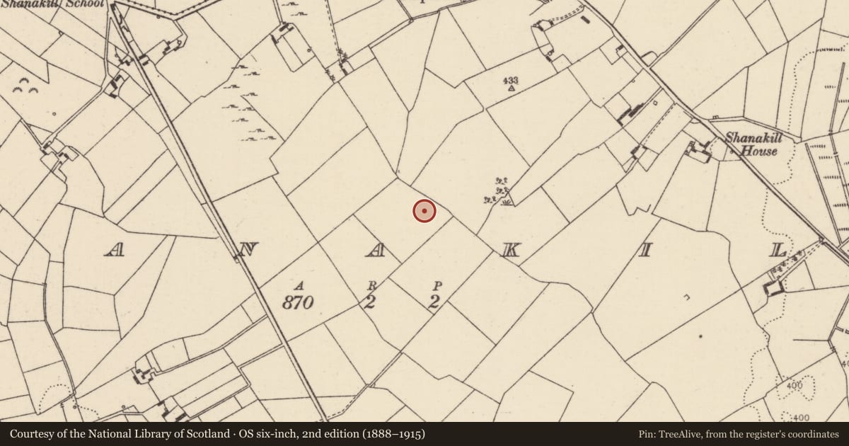 Ordnance Survey six-inch map, 2nd edition (1888–1915) covering the location of Church, Shanakill, County Tipperary North, with a pin at the register's coordinates