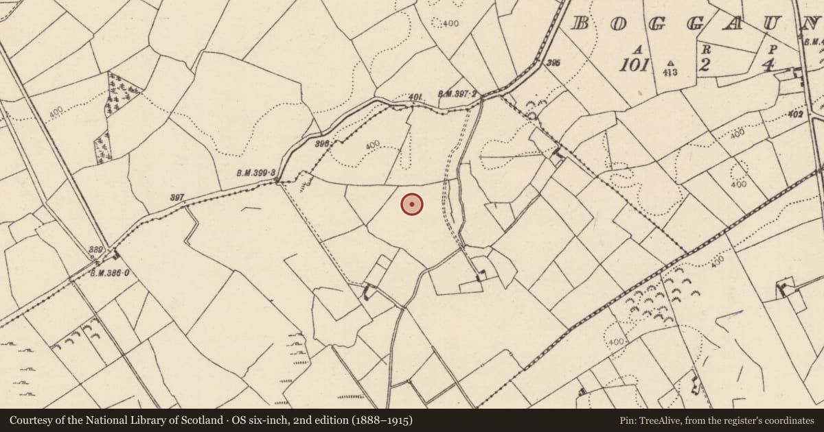 Ordnance Survey six-inch map, 2nd edition (1888–1915) covering the location of Graveyard, Skehanagh (Killavinoge Par.), County Tipperary North, with a pin at the register's coordinates