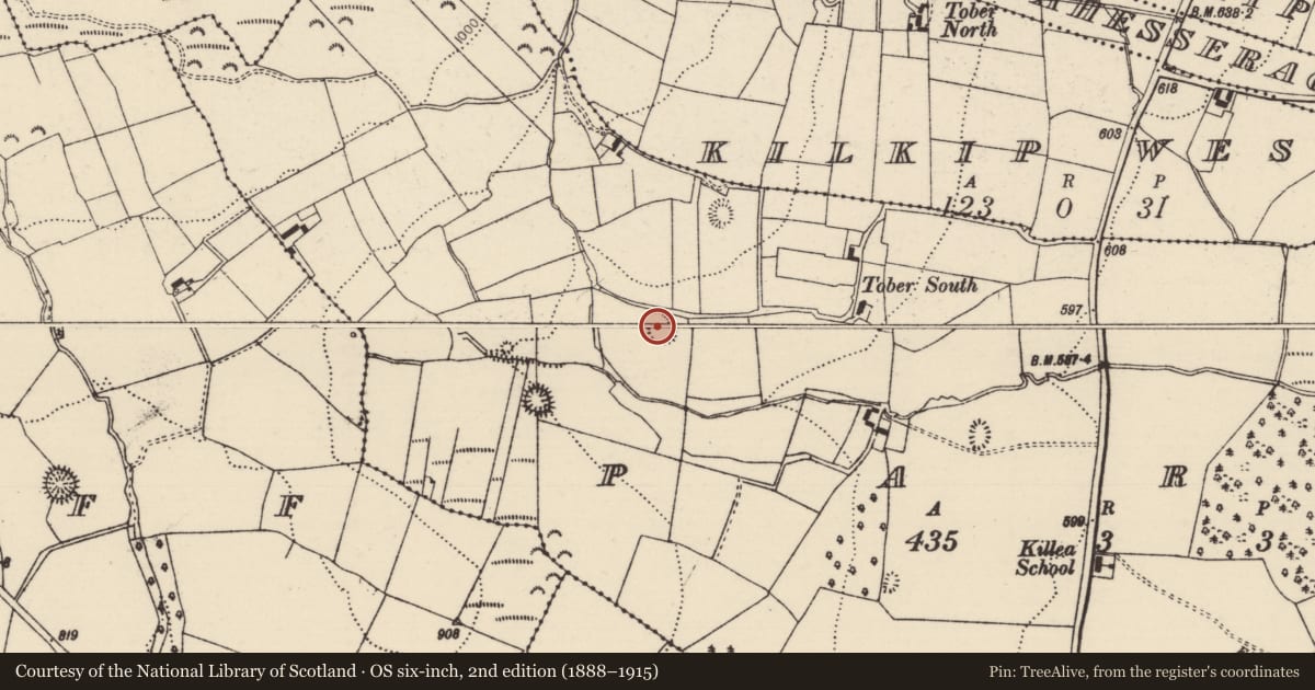 Ordnance Survey six-inch map, 2nd edition (1888–1915) covering the location of Ringfort - rath, Park (Killea Par.), County Tipperary North, with a pin at the register's coordinates