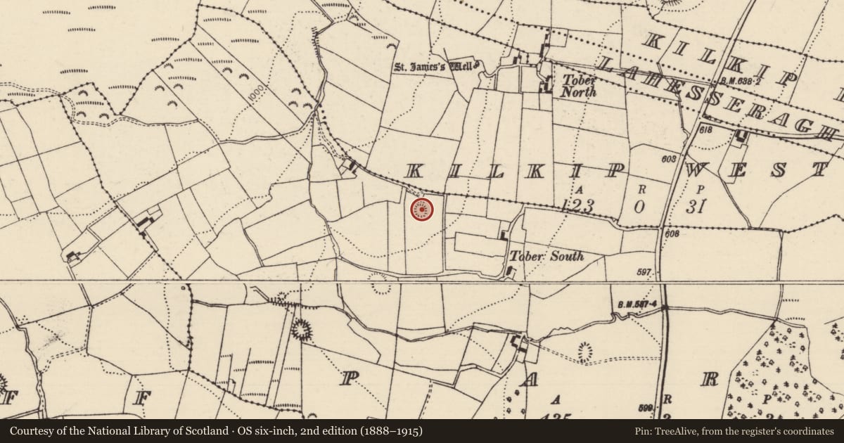 Ordnance Survey six-inch map, 2nd edition (1888–1915) covering the location of Ringfort - rath, Park (Killea Par.), County Tipperary North, with a pin at the register's coordinates