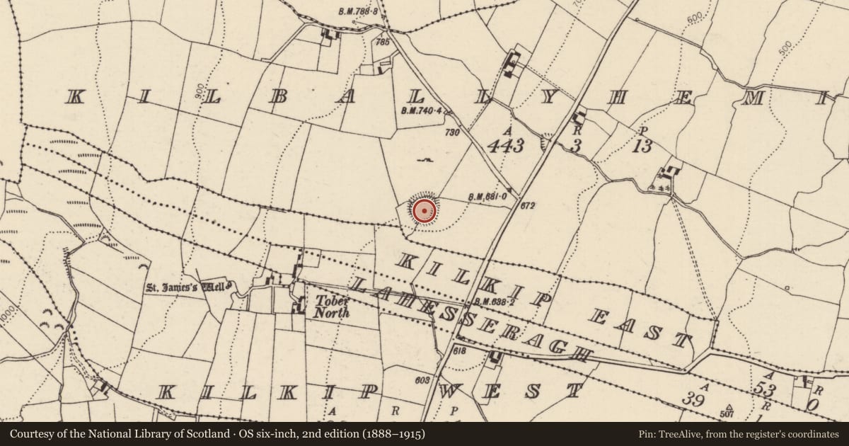 Ordnance Survey six-inch map, 2nd edition (1888–1915) covering the location of Ringfort - rath, Kilballyhemikin, County Tipperary North, with a pin at the register's coordinates