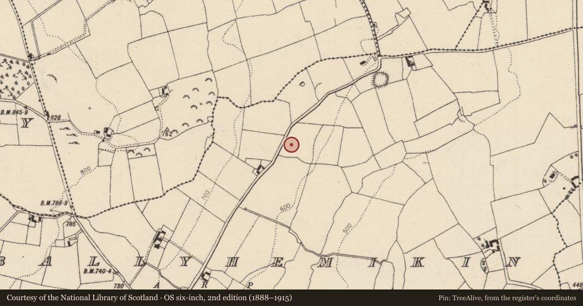 Ordnance Survey six-inch map, 2nd edition (1888–1915) covering the location of Earthwork, Kilballyhemikin, County Tipperary North, with a pin at the register's coordinates