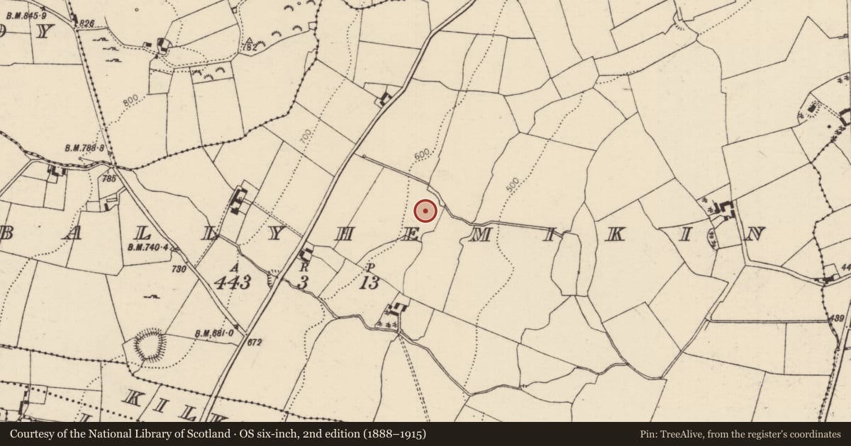 Ordnance Survey six-inch map, 2nd edition (1888–1915) covering the location of Ringfort - rath, Kilballyhemikin, County Tipperary North, with a pin at the register's coordinates