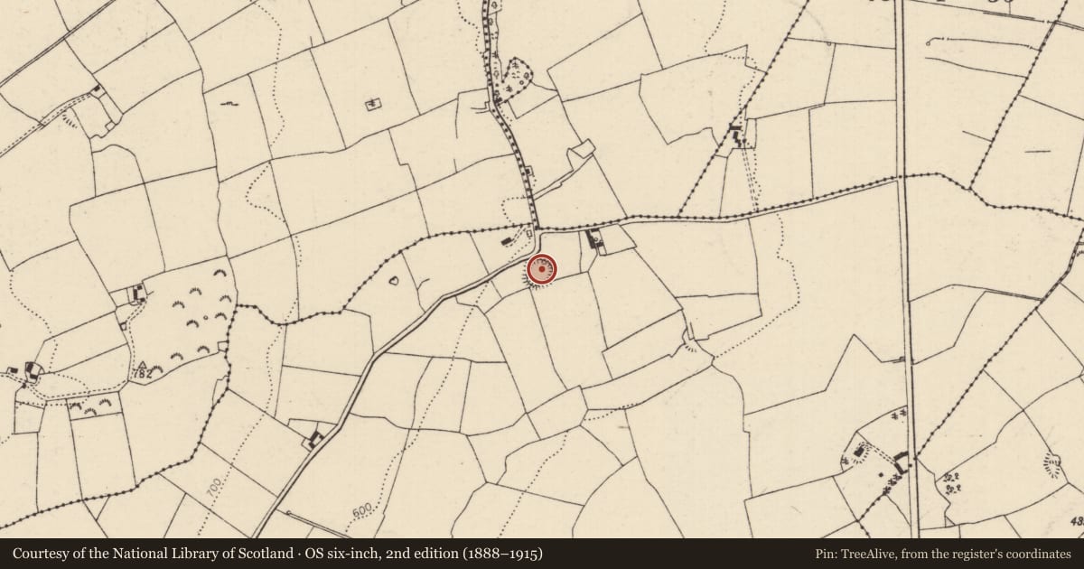Ordnance Survey six-inch map, 2nd edition (1888–1915) covering the location of Ringfort - rath, Kilballyhemikin, County Tipperary North, with a pin at the register's coordinates