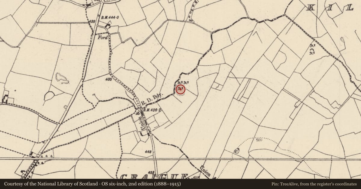 Ordnance Survey six-inch map, 2nd edition (1888–1915) covering the location of Castle - ringwork, Ballycahill (Templemore Par.), Clontaaffe, County Tipperary North, with a pin at the register's coordinates