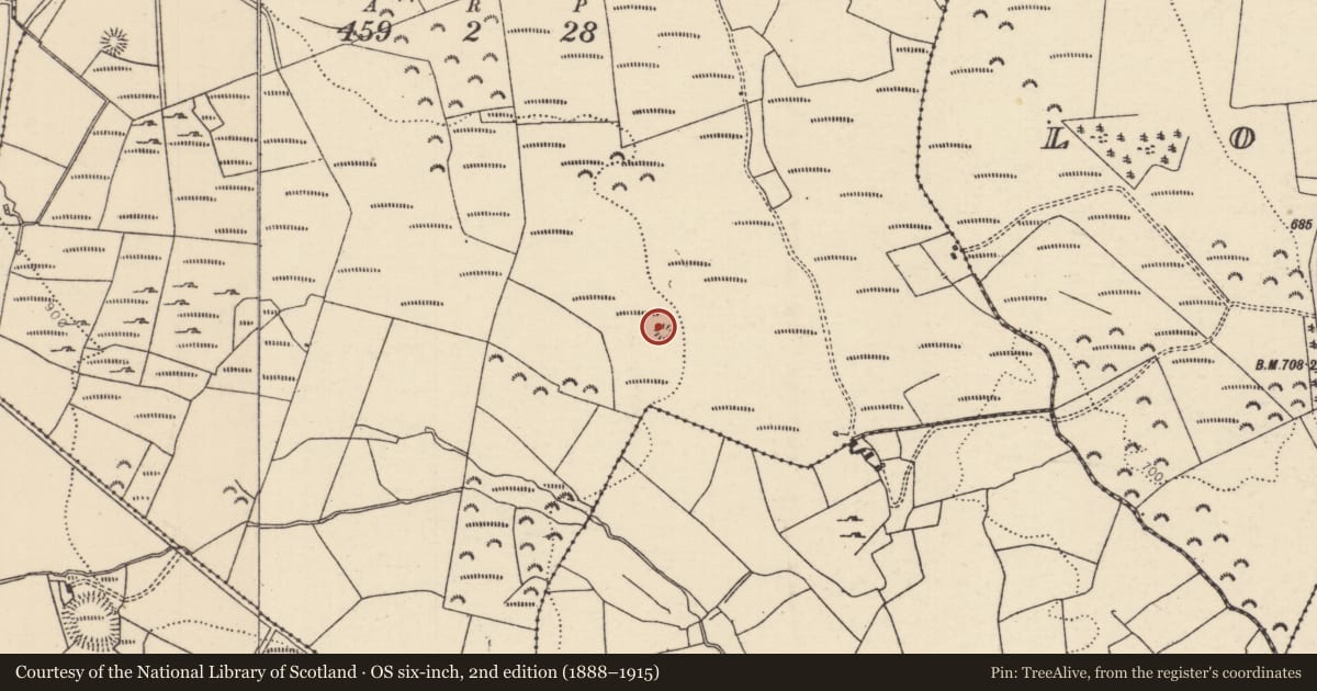 Ordnance Survey six-inch map, 2nd edition (1888–1915) covering the location of Moated site, Gorteenashingaun, County Tipperary North, with a pin at the register's coordinates