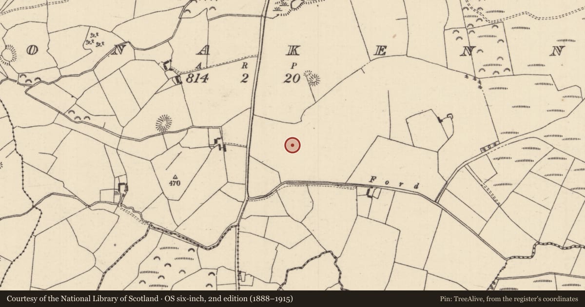 Ordnance Survey six-inch map, 2nd edition (1888–1915) covering the location of Standing stone, Clonakenny, County Tipperary North, with a pin at the register's coordinates