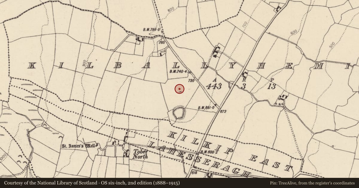 Ordnance Survey six-inch map, 2nd edition (1888–1915) covering the location of Standing stone, Kilballyhemikin, County Tipperary North, with a pin at the register's coordinates