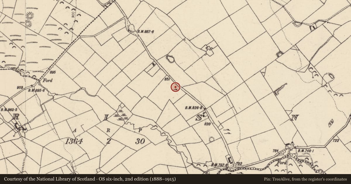 Ordnance Survey six-inch map, 2nd edition (1888–1915) covering the location of Standing stone, Borrisnoe, County Tipperary North, with a pin at the register's coordinates